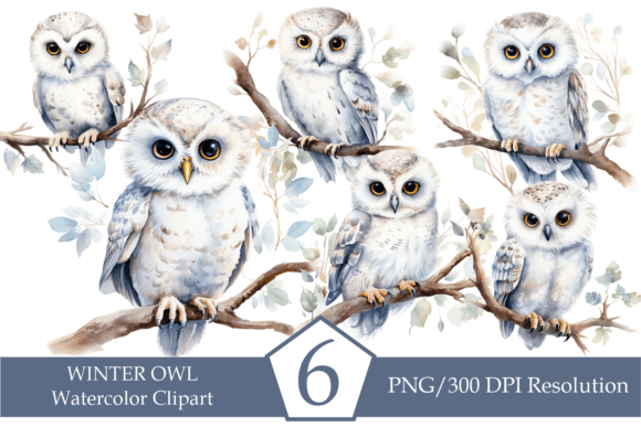 Download Watercolor Winter Owl, Cute White Owl - Watercolor winter Collection