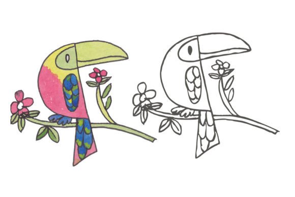Download Bird Illustration - Bird illustration Collection