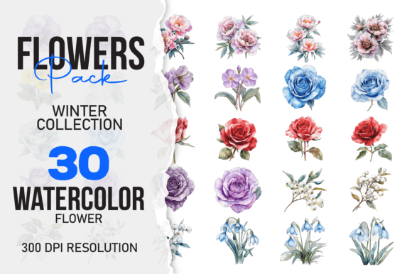 Download Watercolor Winter Flower 30 Pack PNG - Watercolor winter Collection