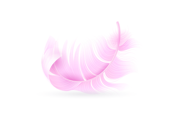 Download Pink Feather. Exotic Bird, Flamingo or P - Pink Collection