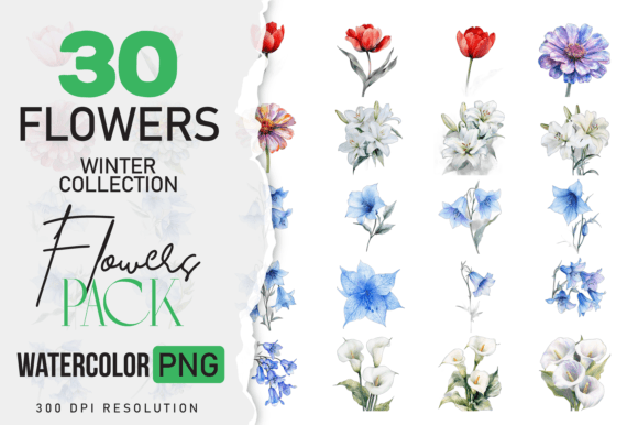 Download Watercolor Winter Flower 30 Pack - Watercolor winter Collection